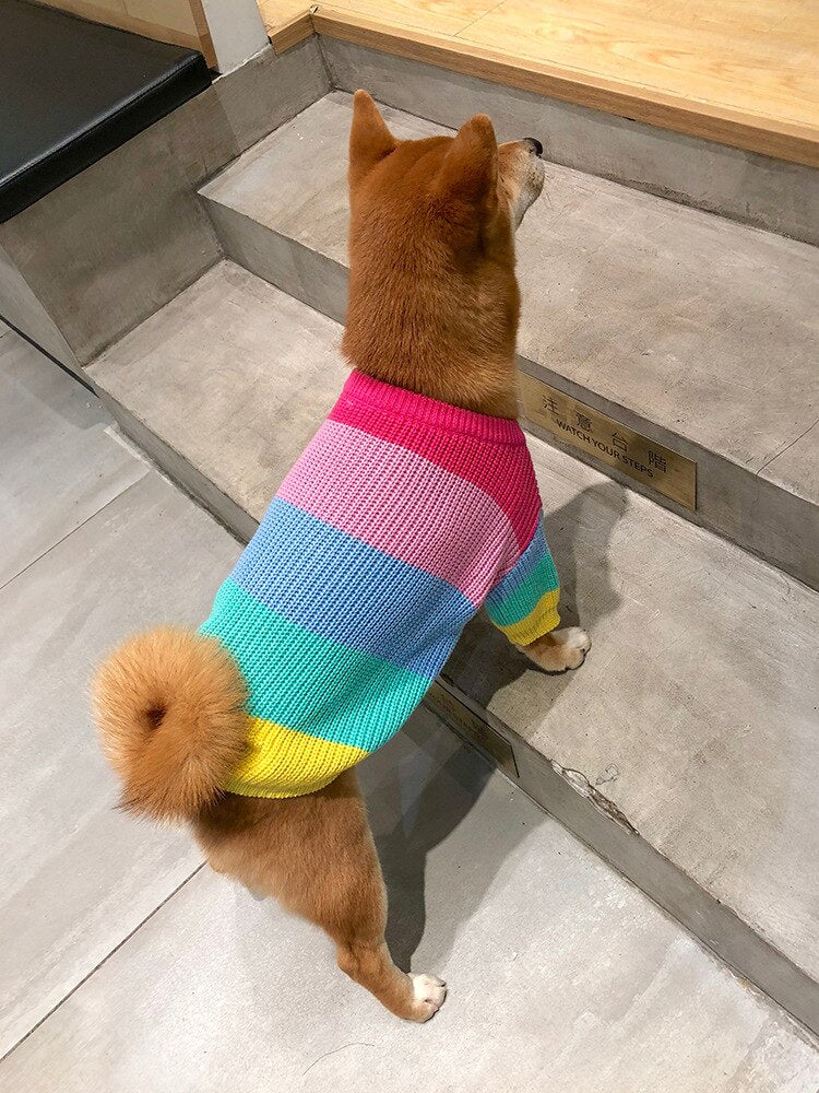 Suéter listrado para cachorro
