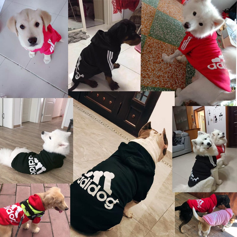 Moleton Adidog para cachorro