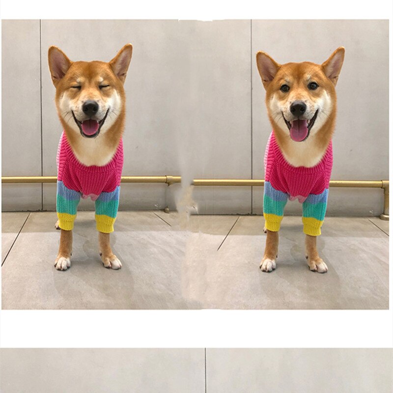 Suéter listrado para cachorro