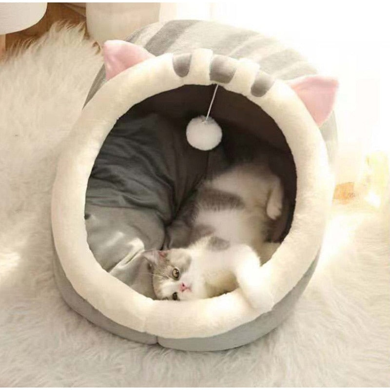 cama iglu