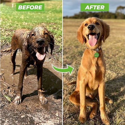Jato de água para cachorro