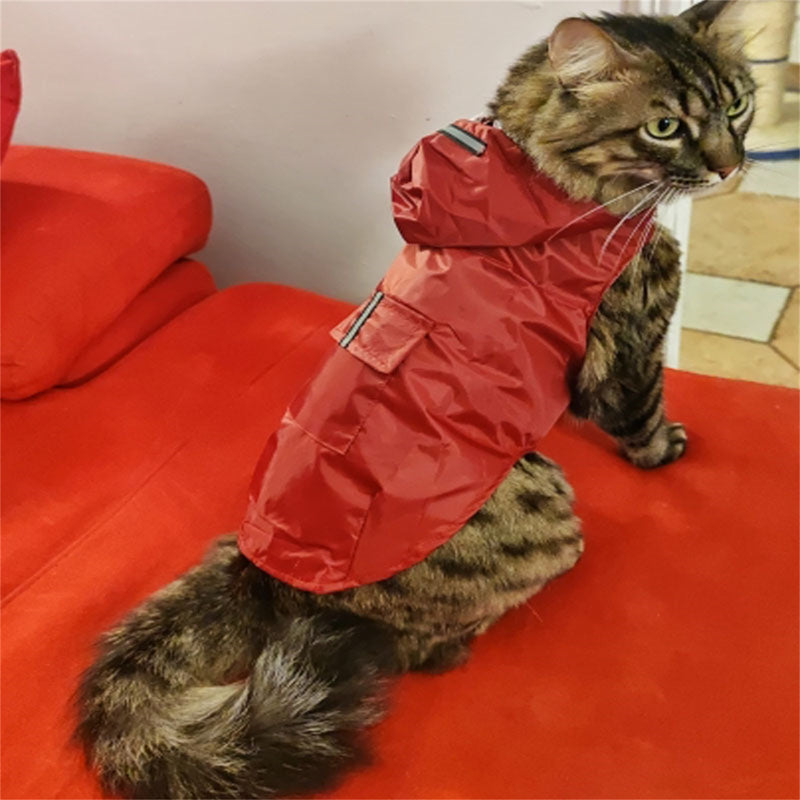 Capa de chuva para cachorro