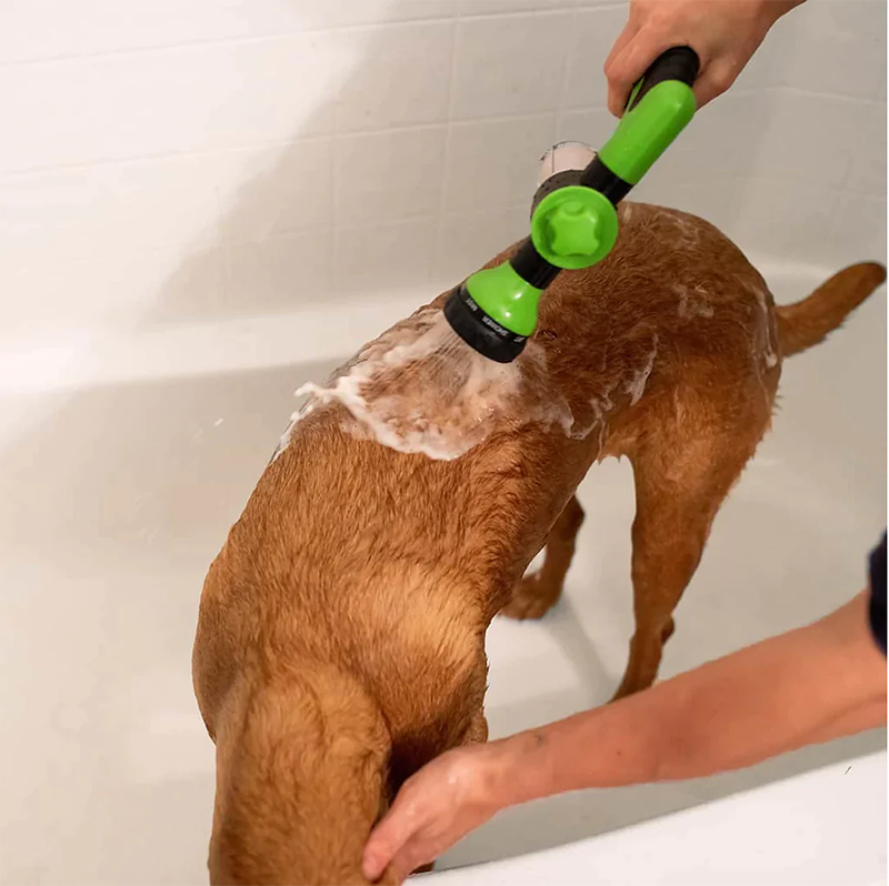 Jato de água para cachorro