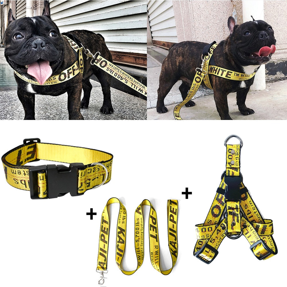Coleira fashion para cachorro