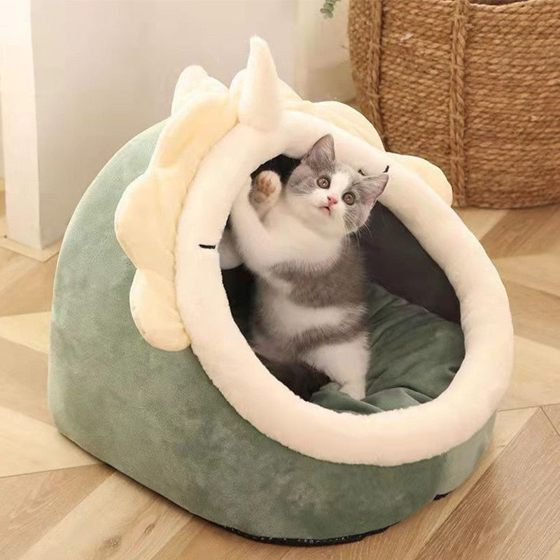 cama iglu