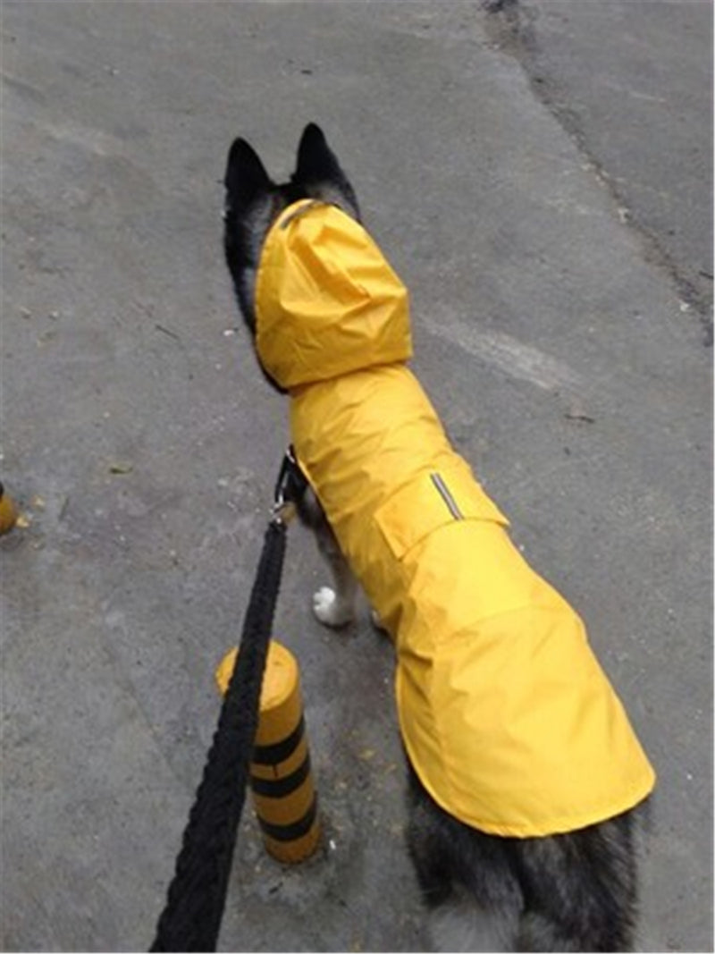 Capa de chuva para cachorro