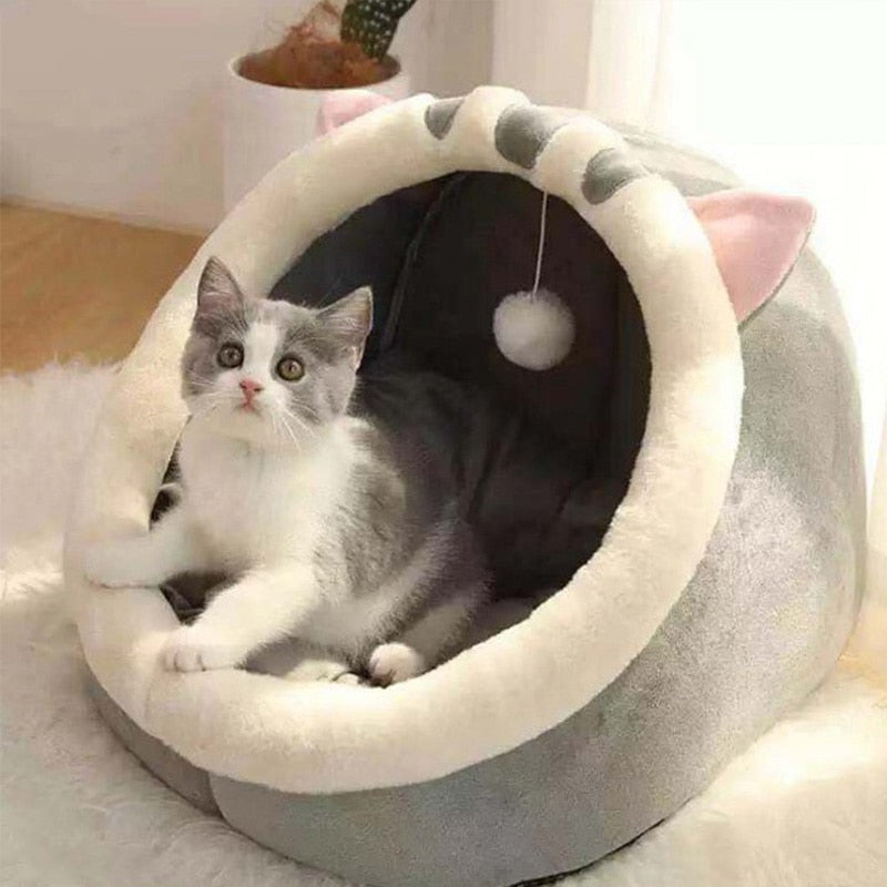 cama iglu