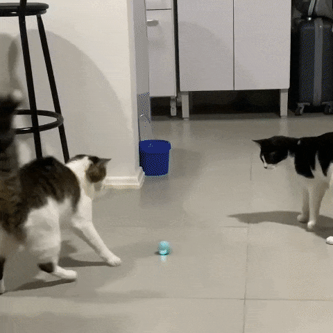 Brinquedo Bola Inteligente Elétrica para Gatos