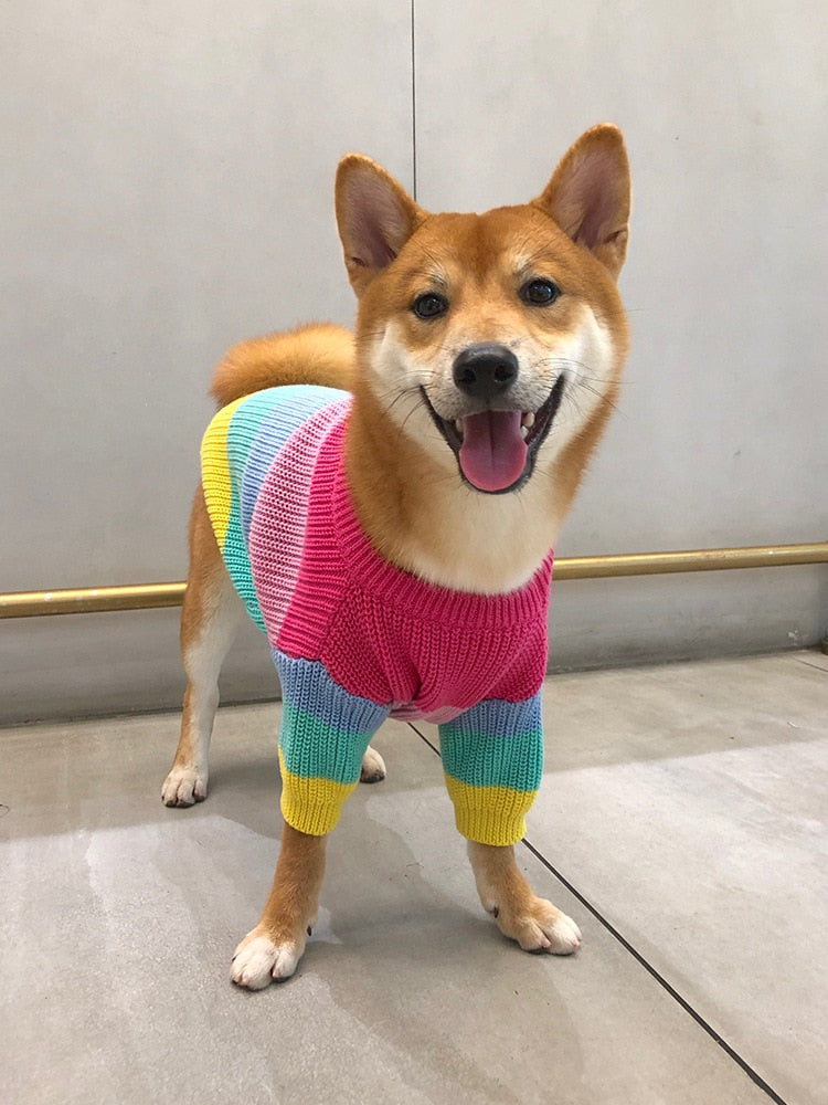Suéter listrado para cachorro