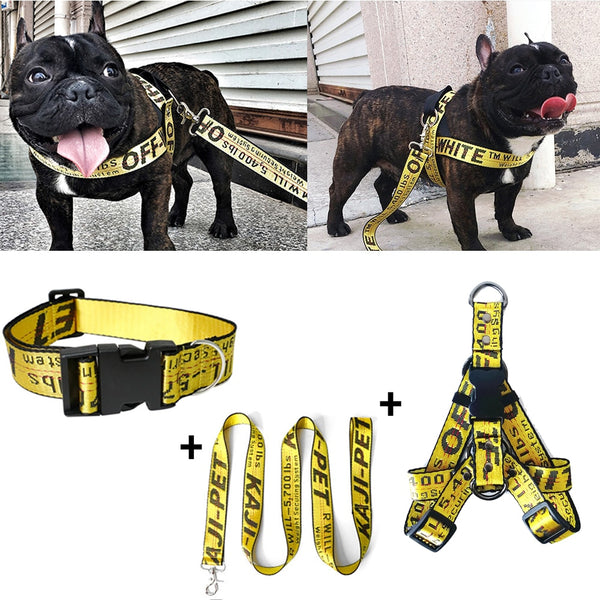Coleira fashion para cachorro