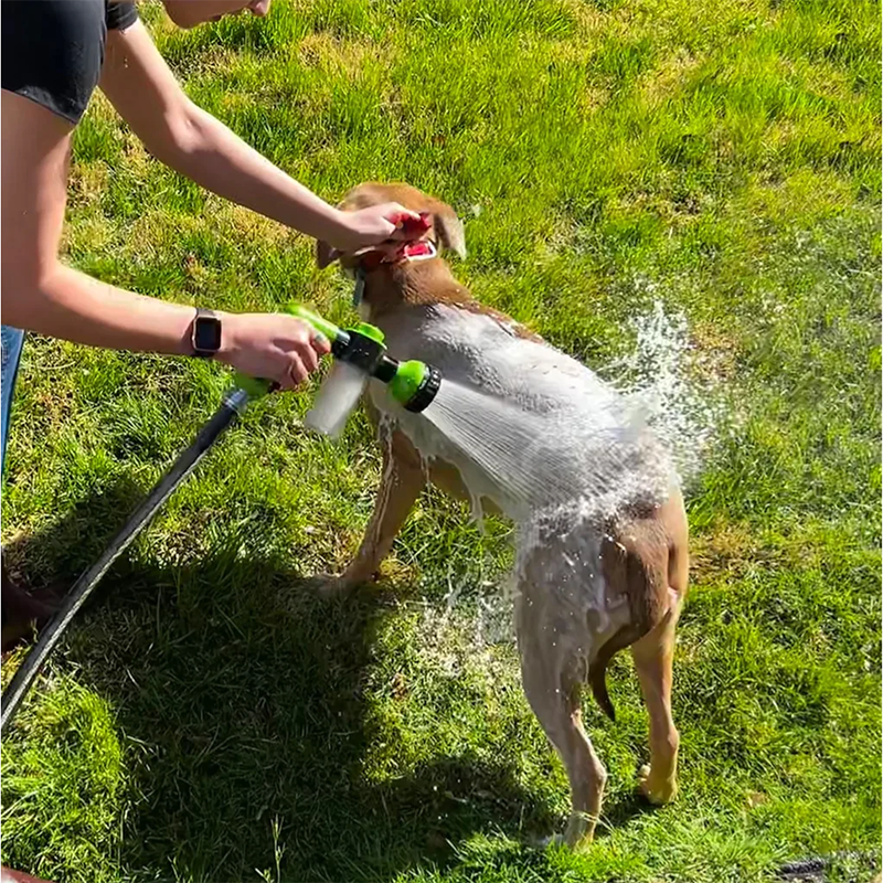 Jato de água para cachorro