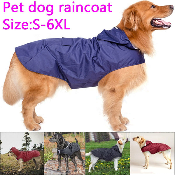 Capa de chuva para cachorro